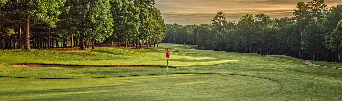 Image of golf ball on tee on grass.